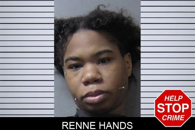 Renne Hands