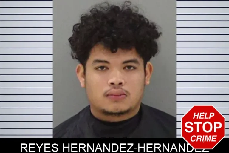 Reyes Hernandez-Hernandez