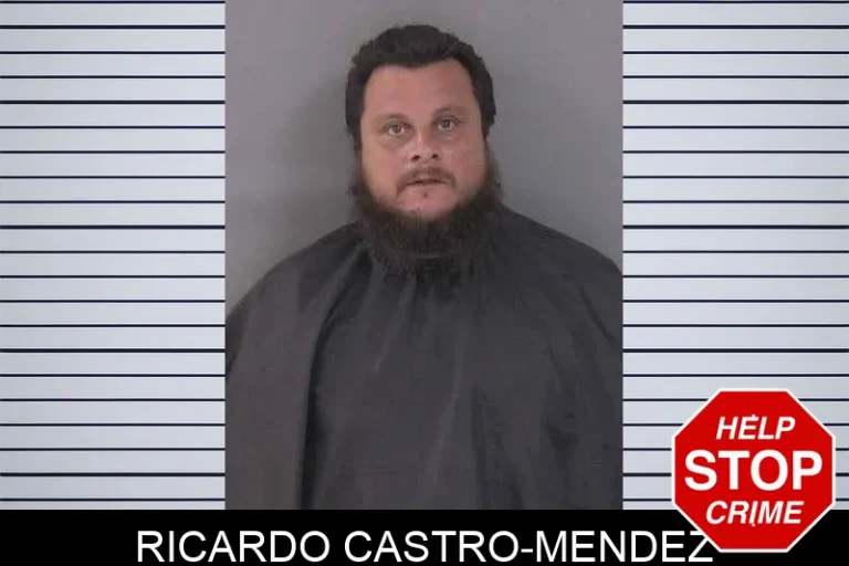 Ricardo Castro-Mendez