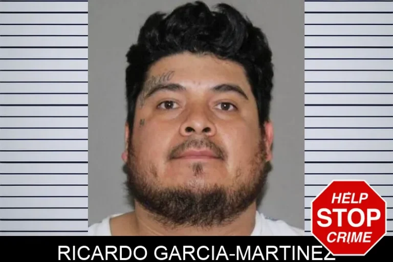 Ricardo Garcia-Martinez