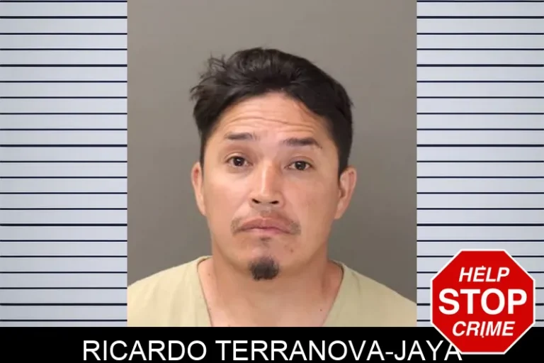 Ricardo Terranova-Jaya