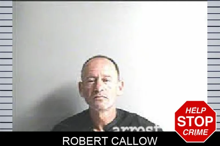 Robert Callow