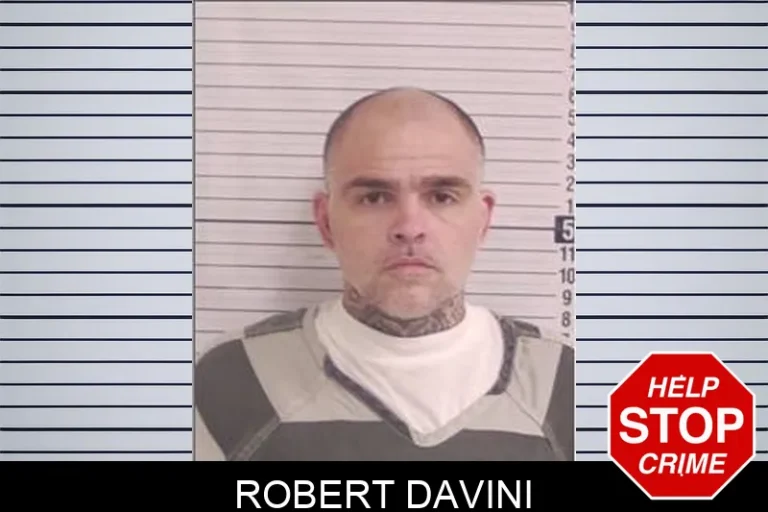 Robert Davini