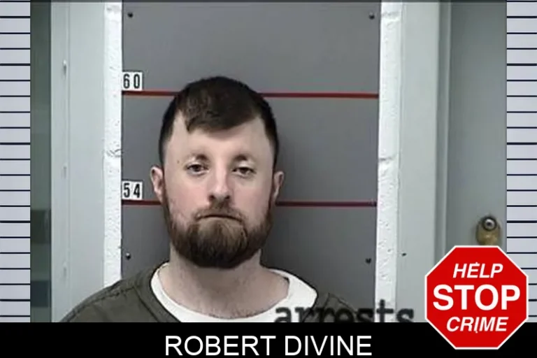 Robert Divine