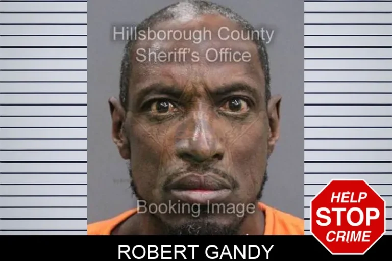 Robert Gandy