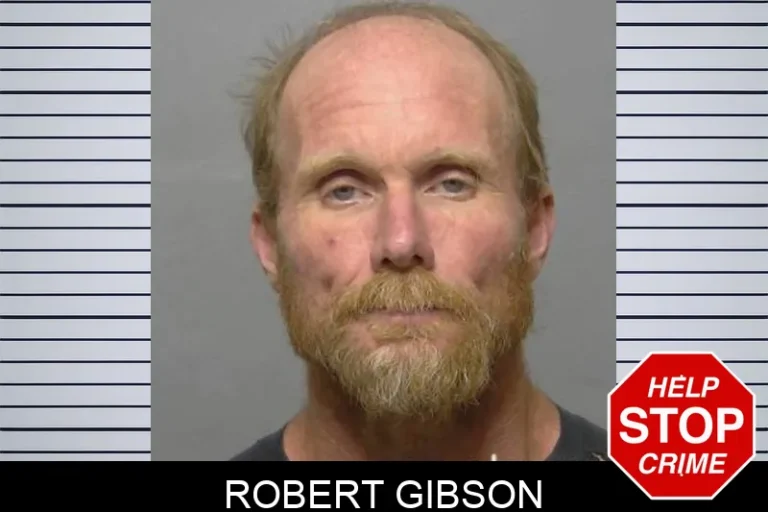 Robert Gibson