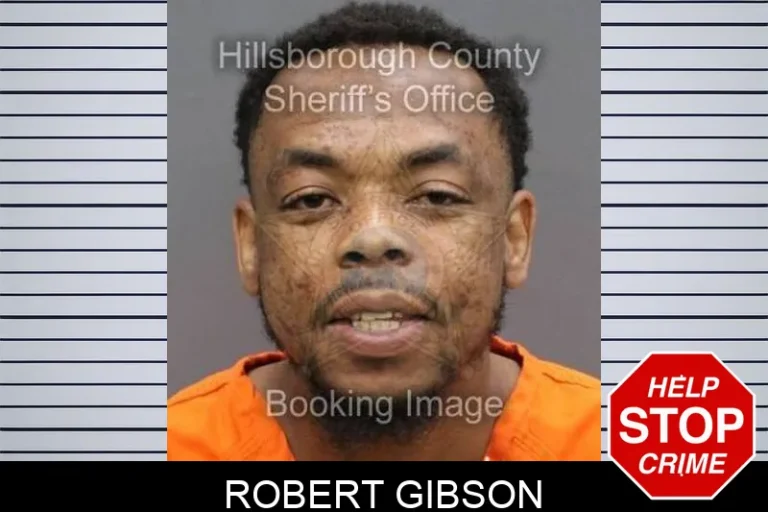 Robert Gibson