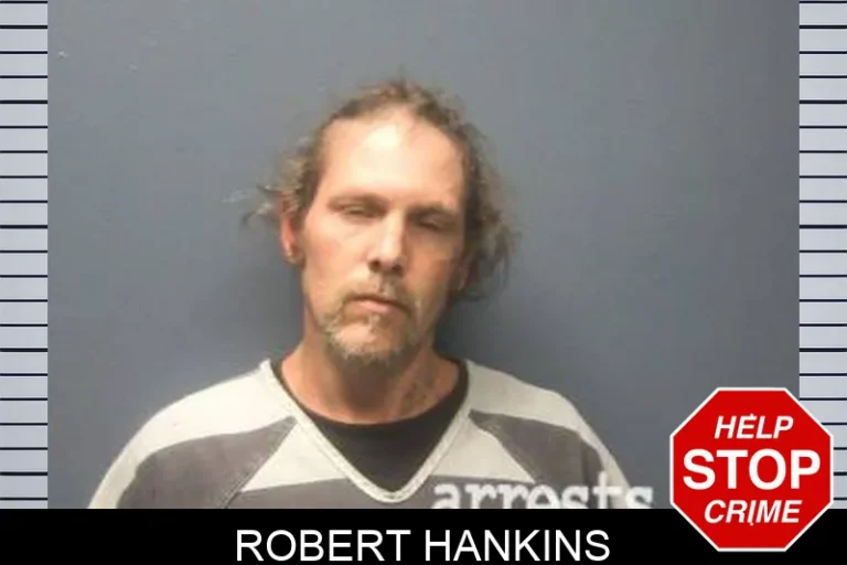 Robert Hankins