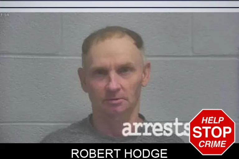 Robert Hodge