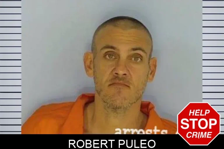 Robert Puleo