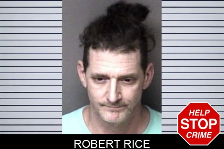 Robert Rice