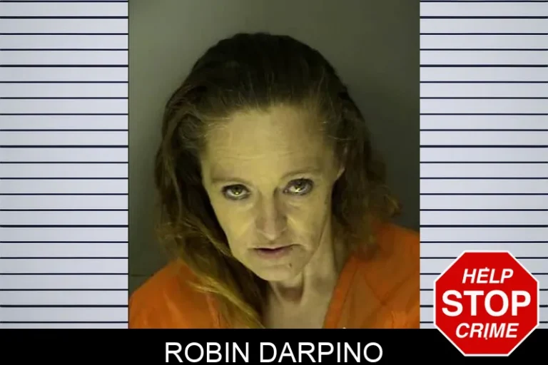 Robin Darpino