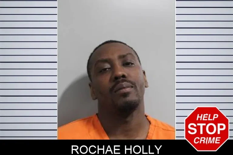 Rochae Holly