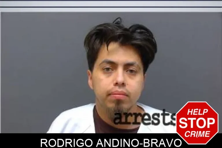 Rodrigo Andino-Bravo