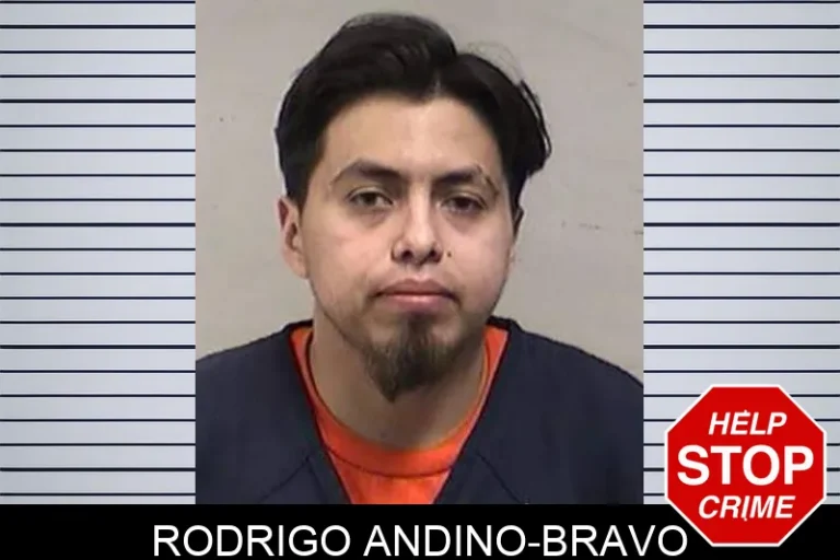 Rodrigo Andino-Bravo