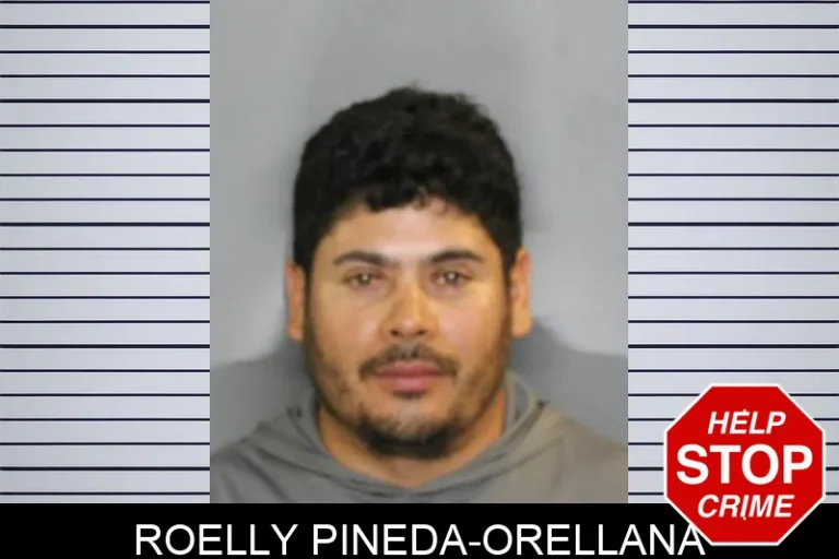 Roelly Pineda-Orellana