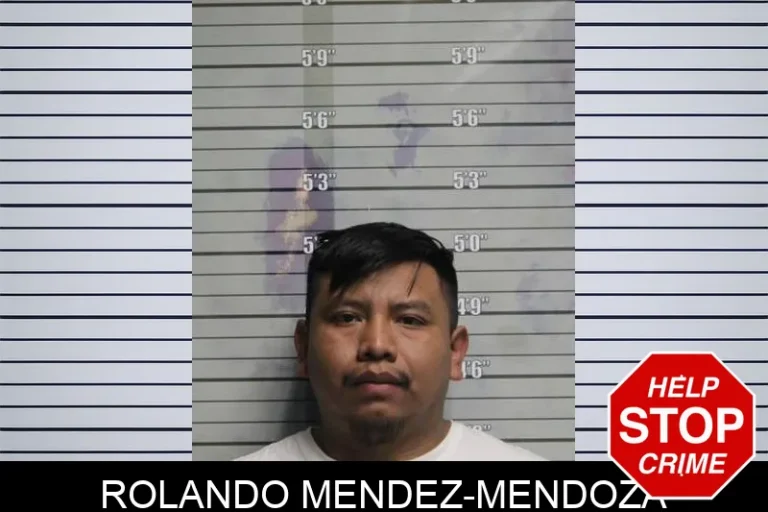 Rolando Mendez-Mendoza