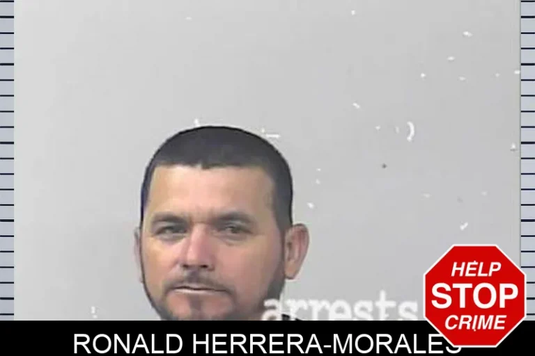 Ronald Herrera-Morales