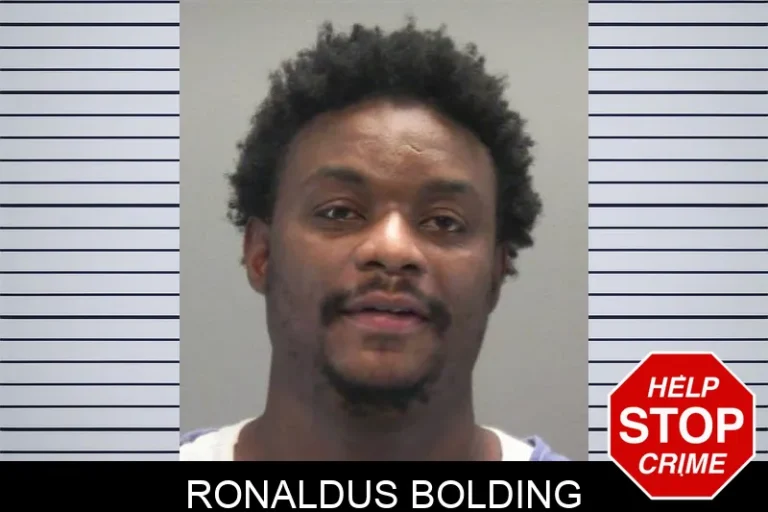 Ronaldus Bolding