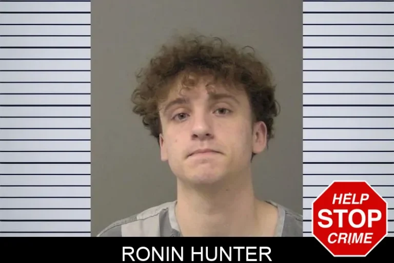 Ronin Hunter