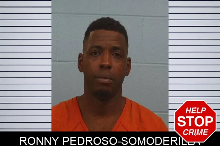 Ronny Pedroso-Somoderilla
