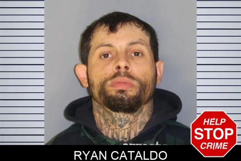 Ryan Cataldo
