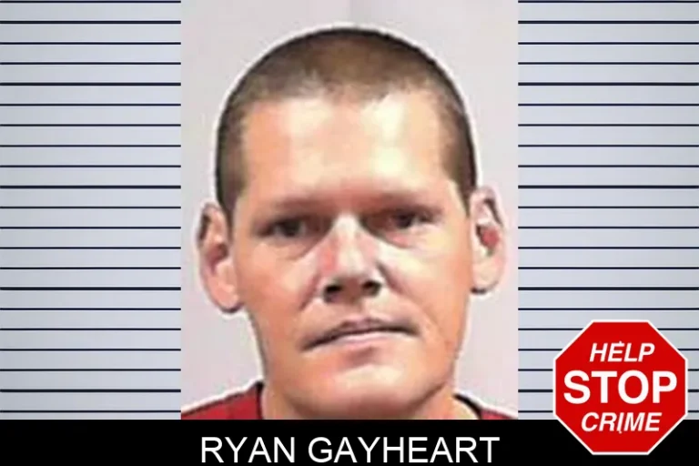 Ryan Gayheart