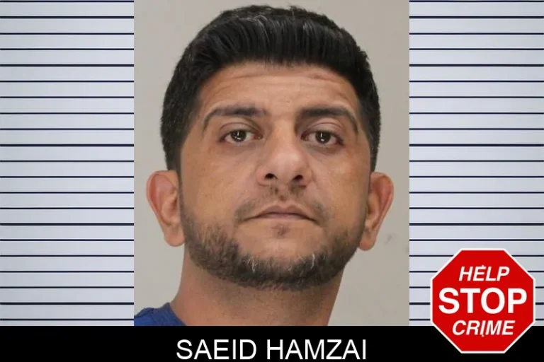 Saeid Hamzai