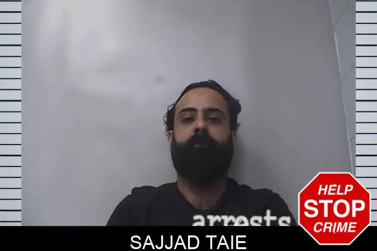 Sajjad Taie