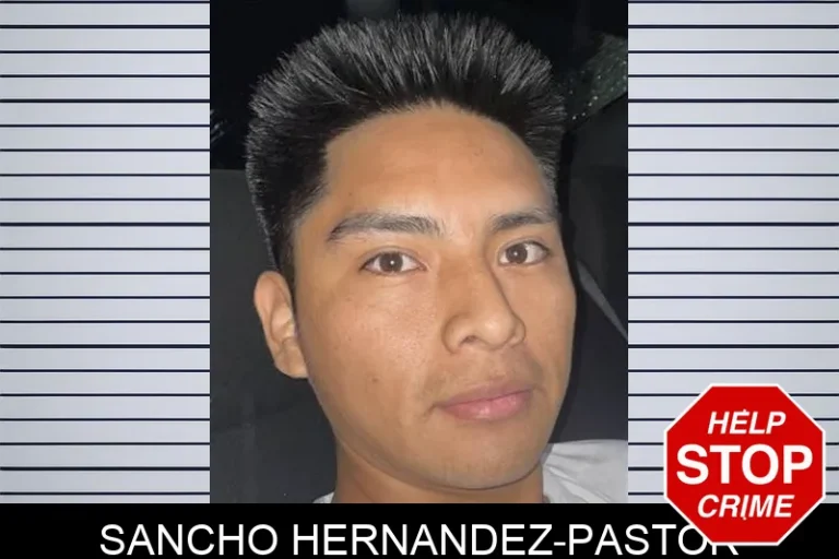 Sancho Hernandez-Pastor