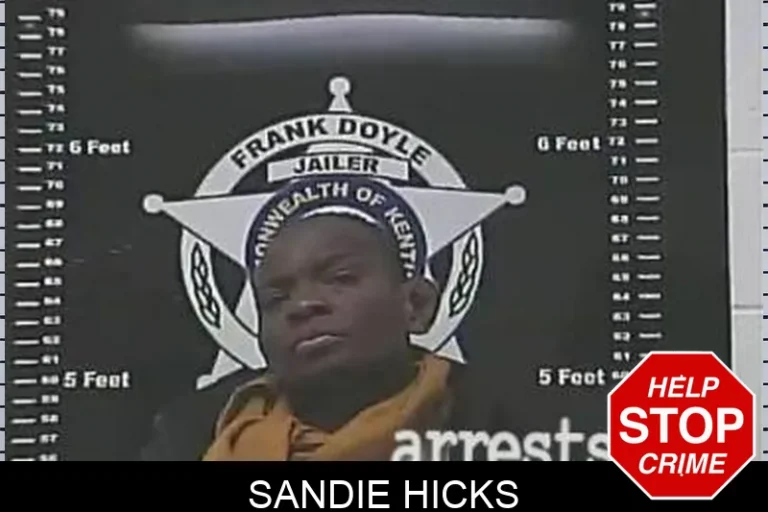 Sandie Hicks