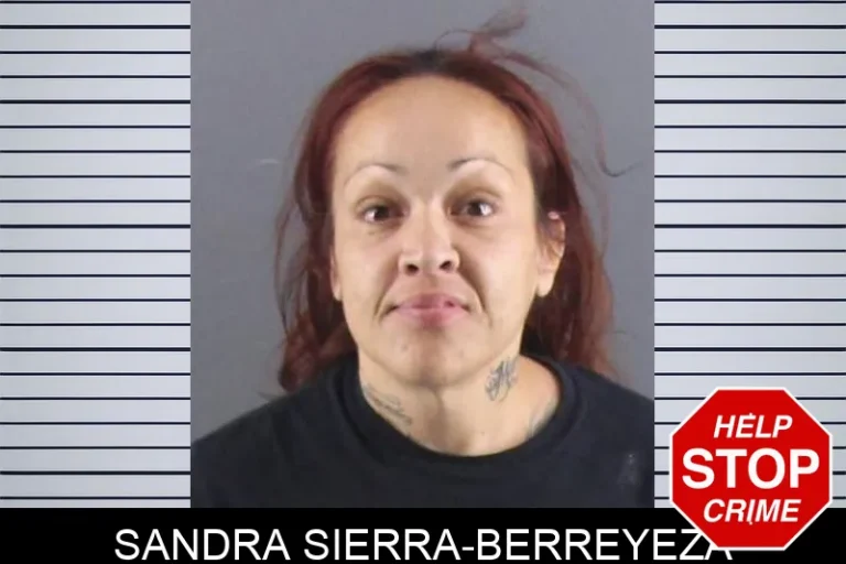 Sandra Sierra-Berreyeza