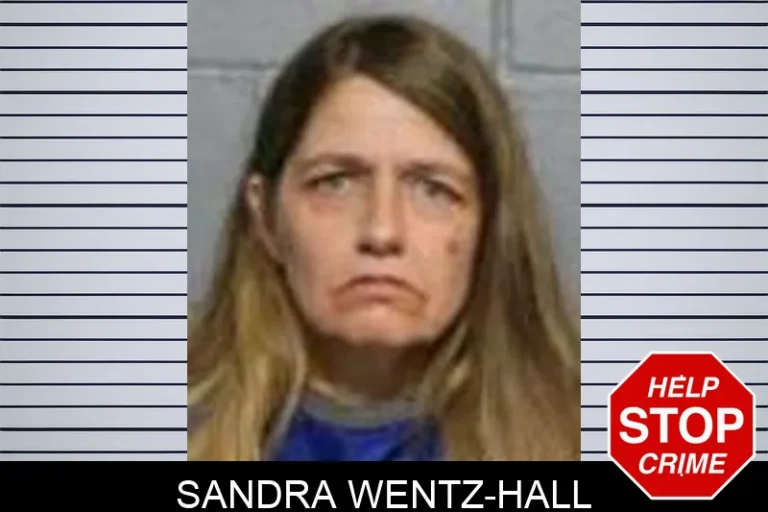 Sandra Wentz-Hall