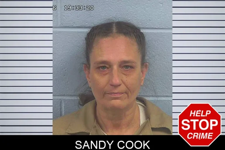 Sandy Cook
