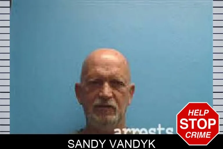 Sandy Vandyk