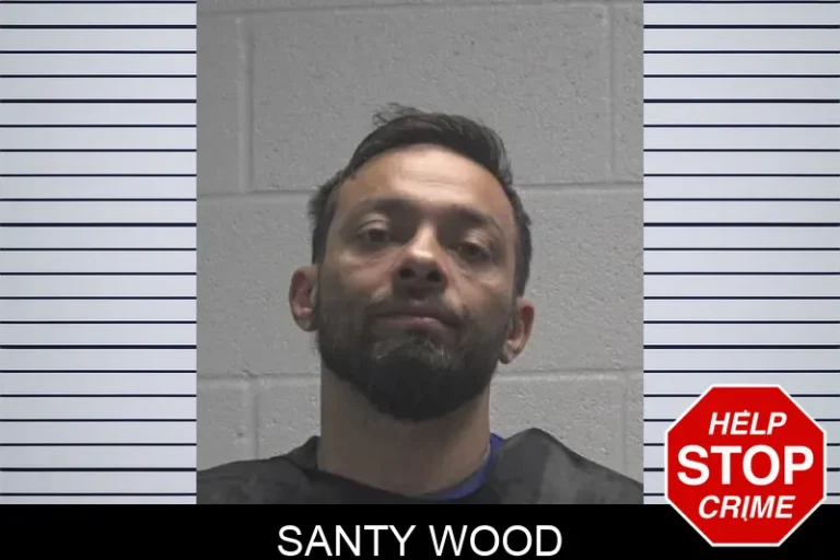 Santy Wood