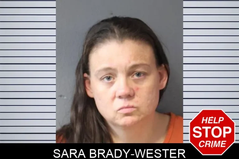 Sara Brady-Wester
