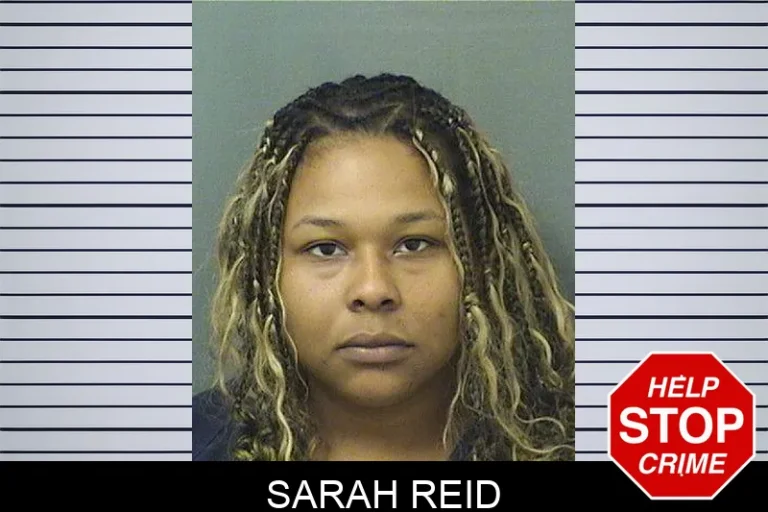 Sarah Reid