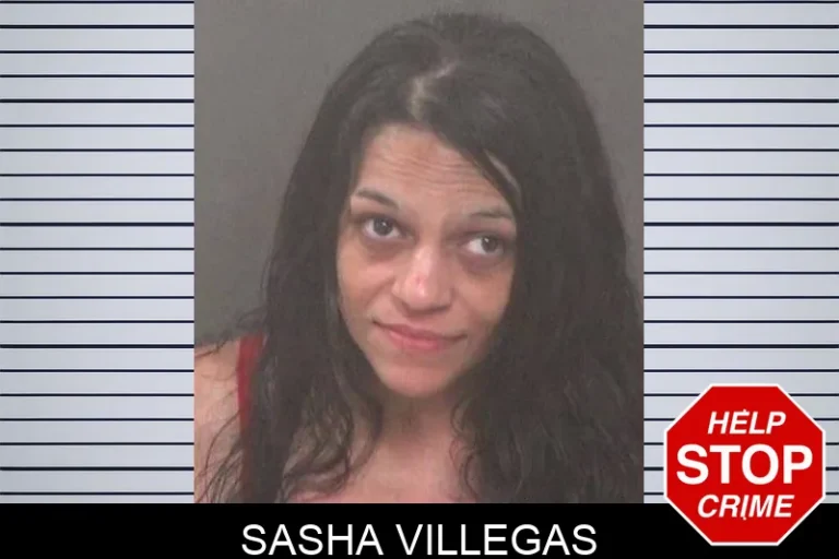 Sasha Villegas