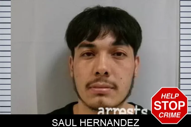 SauL Hernandez