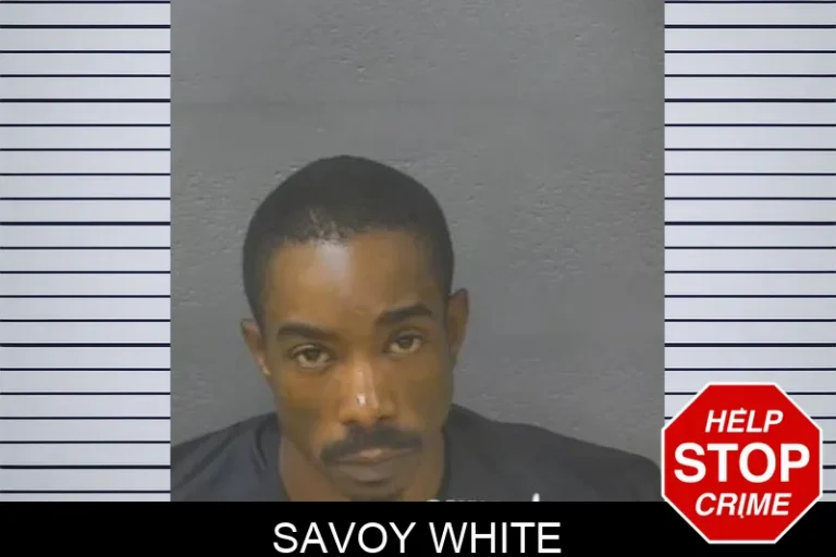 Savoy White