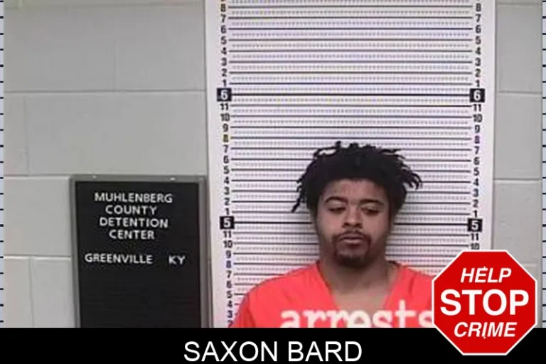 Saxon Bard
