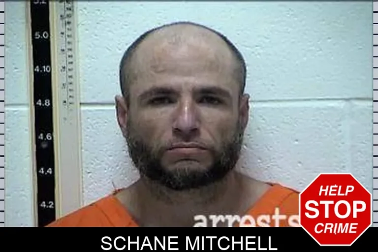 Schane Mitchell