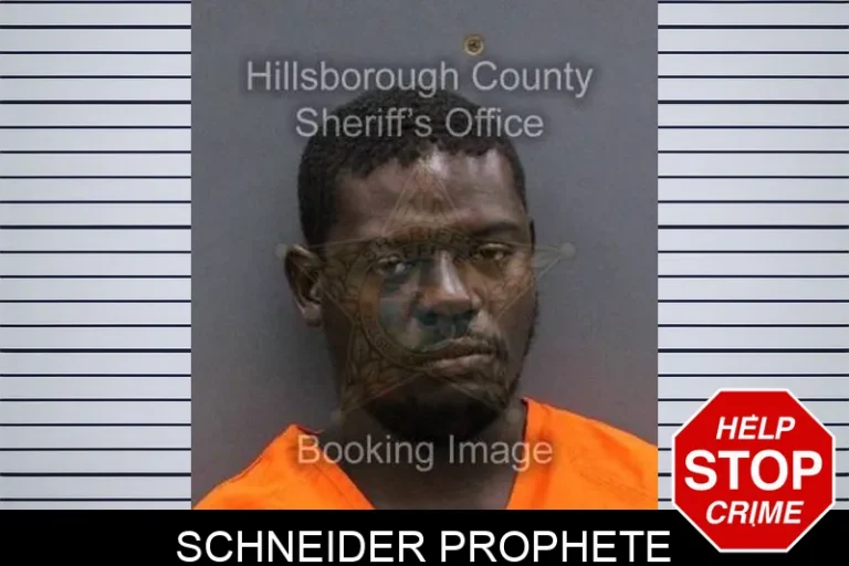 Schneider Prophete