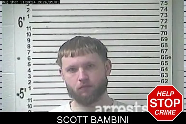 Scott Bambini