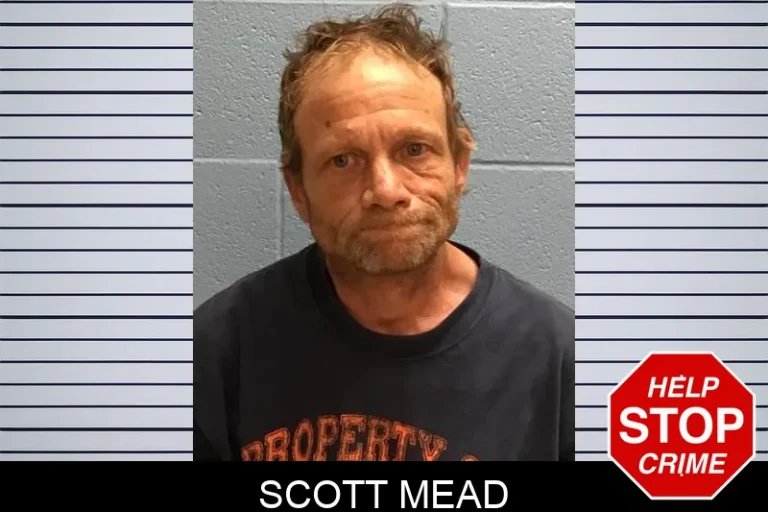Scott Mead