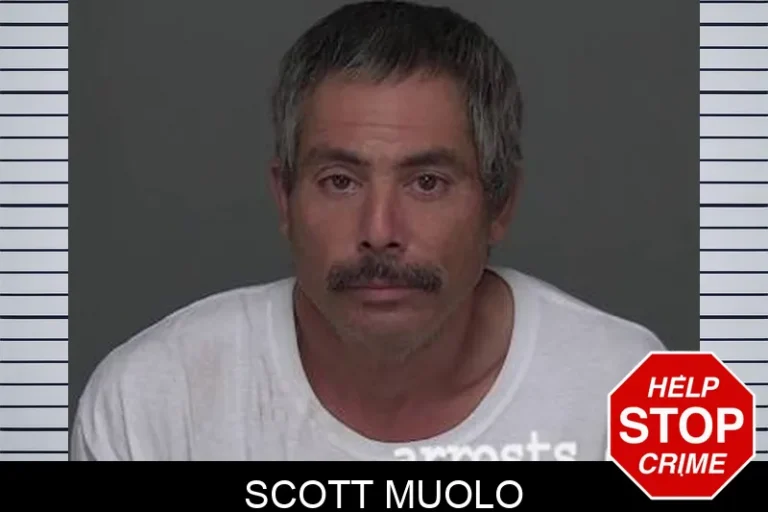 Scott Muolo