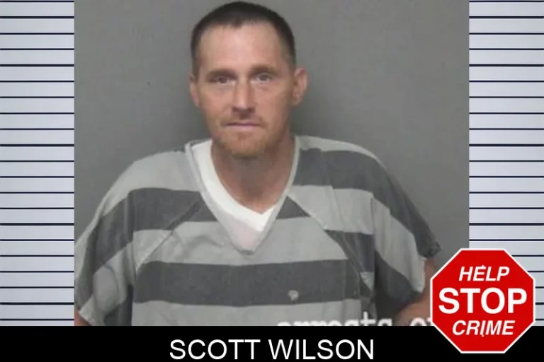 Scott Wilson