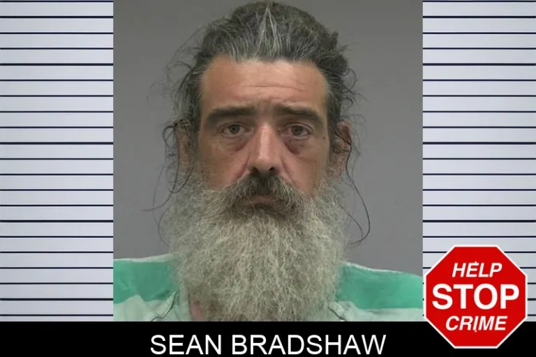 Sean Bradshaw
