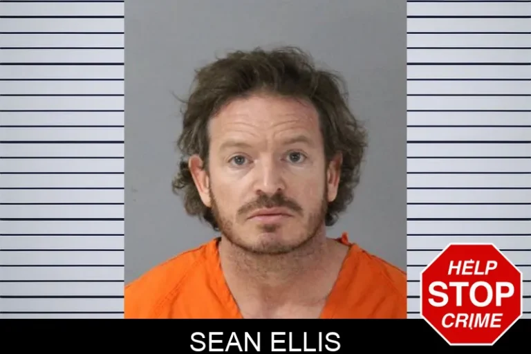 Sean Ellis